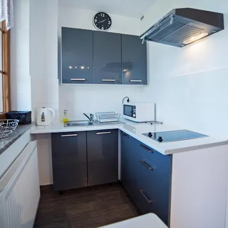 Apartament Paryski